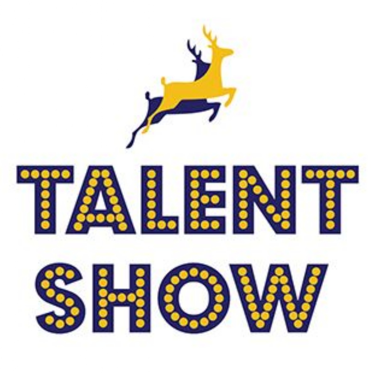 cirencester-deer-park-school-talent-show-2016